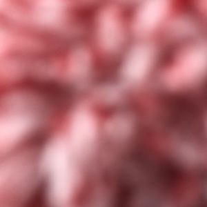 Meet your Posher, Hailey